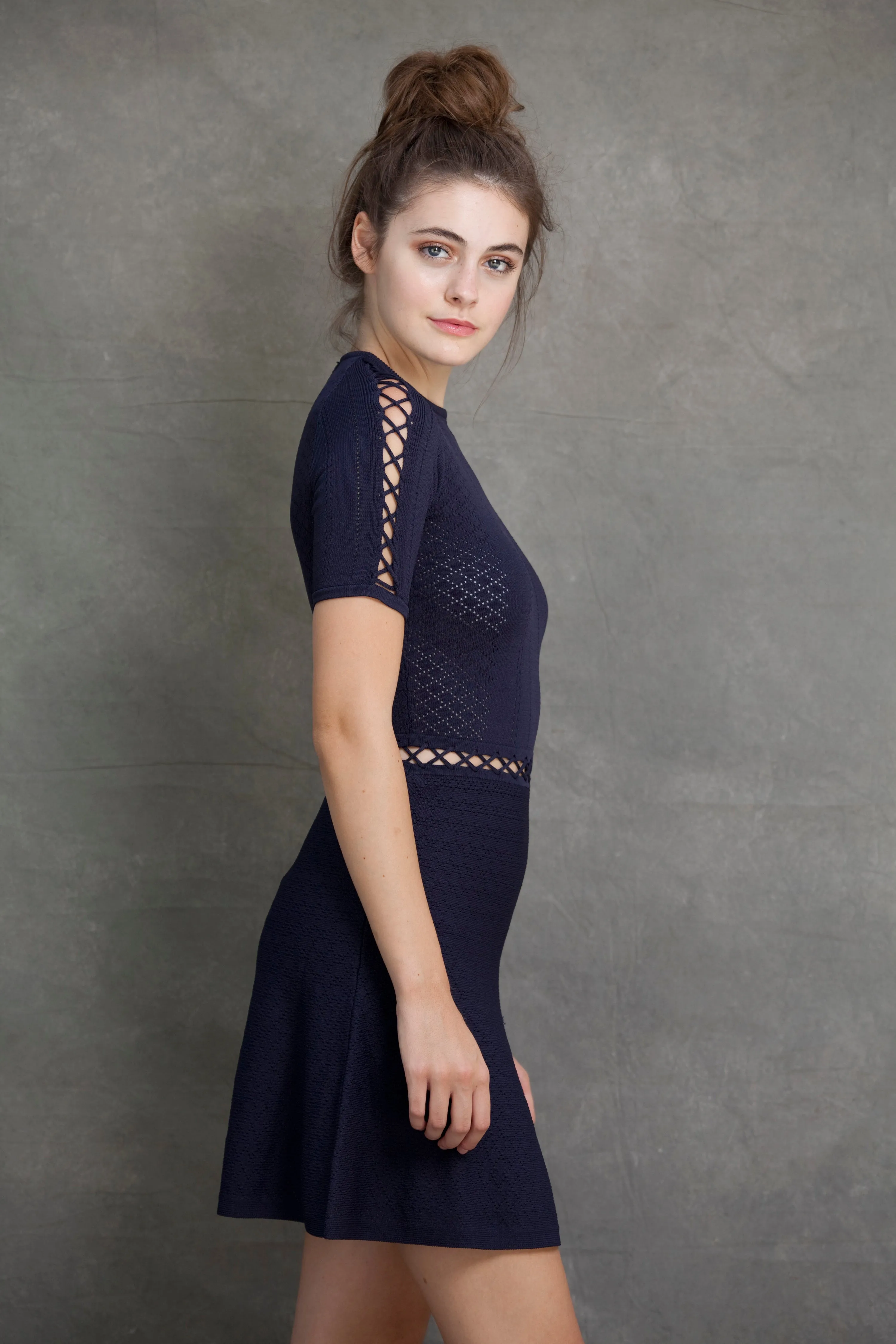 Alexa Fit and Flare Dress