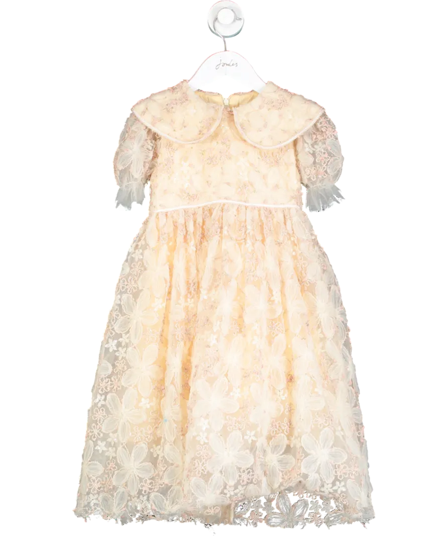 Eirene Nude Floral Embellished Tulle Dress 6 Years