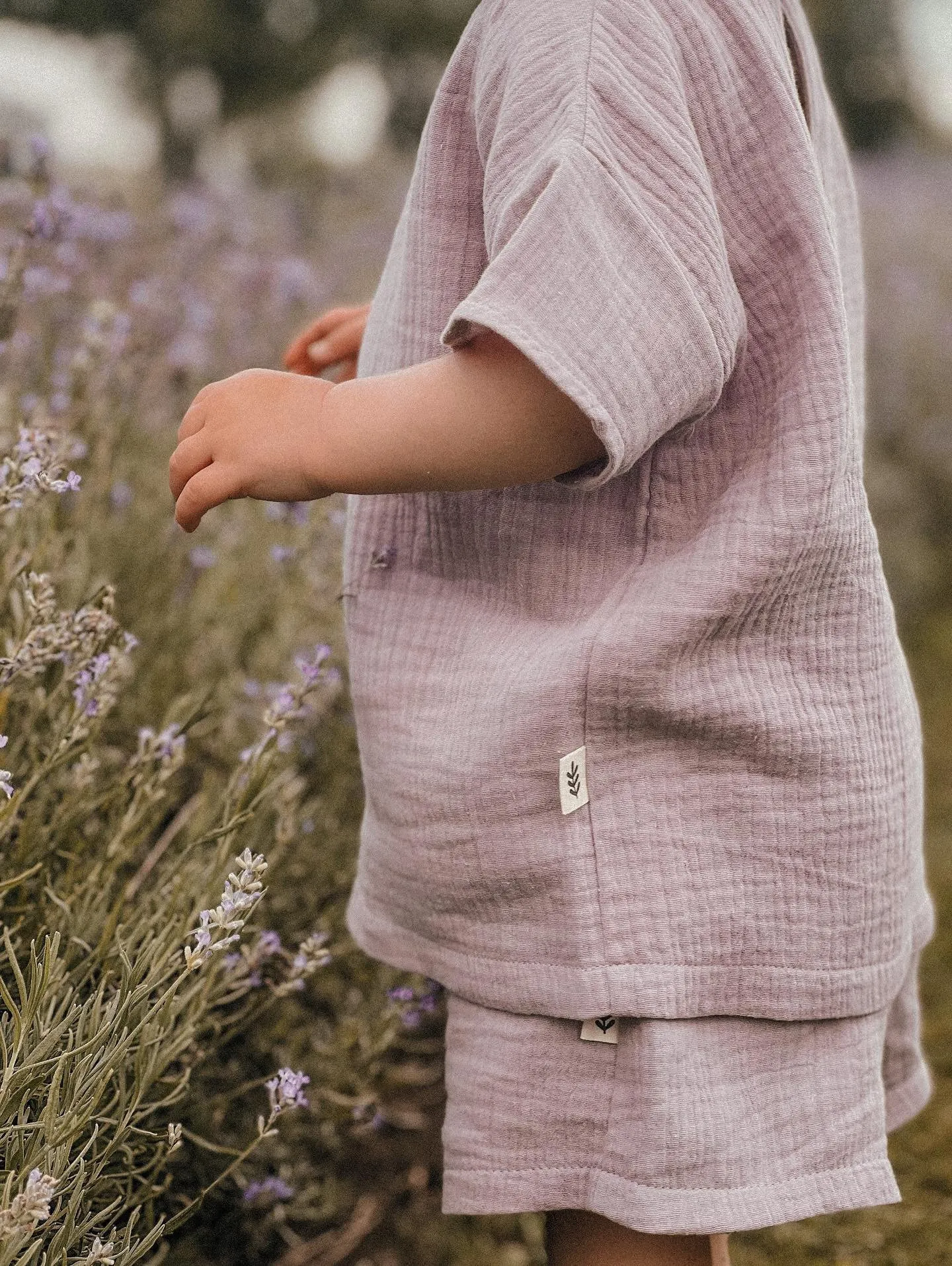 Muslin Shorts - Lavender Fog